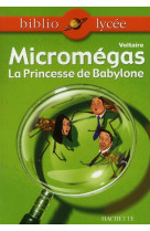 Micromegas  -  la princesse de babylone