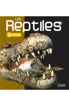 Les reptiles a la loupe