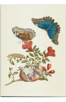 Carnet de notes et lectures : metamorphose des papillons