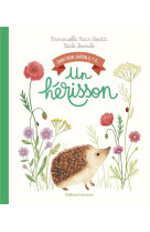 Dans mon jardin il y a... : un herisson