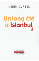 Un long ete a istanbul