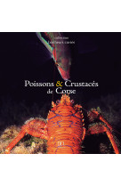 Poissons et crustaces de corse