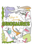 Cahier de coloriage : dinosaures