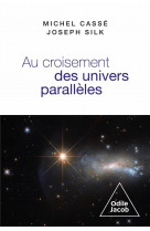 Au croisement des univers paralleles : cosmologie et metacosmologie