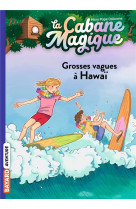 La cabane magique tome 23 : grosses vagues a hawai