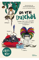 Un vrai (pa)chat - chaque chat a son caractere : il y a certainement le votre a l'interieur !