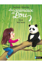 Les animaux de lou : bravo, petit panda !