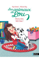 Les animaux de lou : d'ou tu viens, petit chien ?