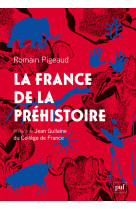 La france de la prehistoire