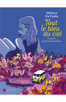 Tout le bleu du ciel (bd)