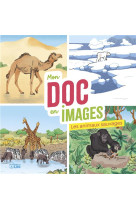 Mon doc en images tome 3 : les animaux sauvages