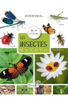 Jeux pour tout savoir sur... : les insectes