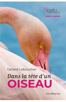 Dans la tete d'un oiseau