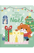 Une surprise pour noel