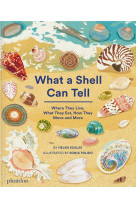 What a shell can tell