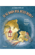 Tu ne dors pas petit ours