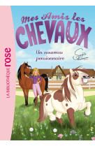 Mes amis les chevaux - sophie thalmann - t01 - mes amis les chevaux 01 - un nouveau pensionnaire