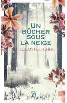 Un bucher sous la neige