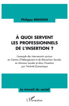 A quoi servent les professionnels de l'insertion ?  -  l'exemple des intervenants sociaux en centres d'hebergement et de reinsertion sociale, en missions locales et dans l'insertion par l'activite economique