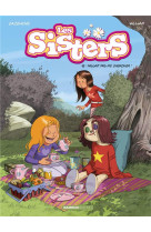 Les sisters tome 15 : fallait pas me chercher !