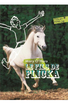 Le fils de flicka