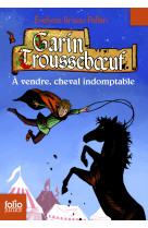 Garin trousseboeuf - ix - a vendre, cheval indomptable