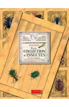 Petite collection d'insectes de nos regions