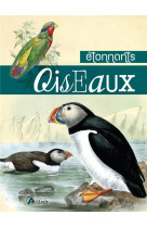 Etonnants oiseaux