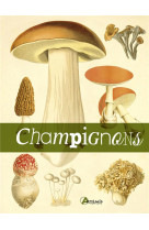 Le livre des champignons