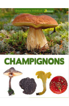 Champignons