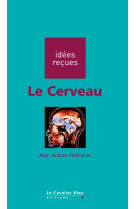 Le cerveau