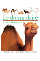 Le dromadaire et le chameau