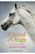 Cheval d'orage