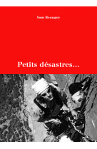 Petits désastres