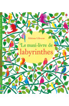 Le maxi-livre de labyrinthes