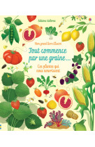 Tout commence par une graine... - mon grand livre illustre