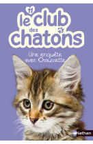 Le club des chatons 11: une enquête avec chaussette