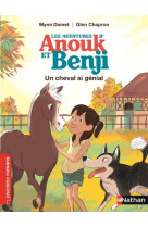 Les aventures d'anouk et benji: un cheval si genial