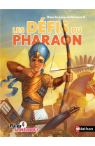 Dans la peau de ramses ii:les defis du pharaon - vol07