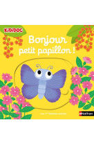 Bonjour petit papillon !