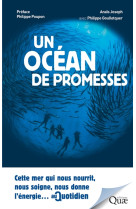 Un ocean de promesses - cette mer qui nous nourrit, nous soigne, nous fournit l'energie...au quotidi