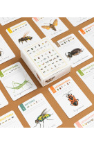 Le jeu des 7 ordres d'insectes