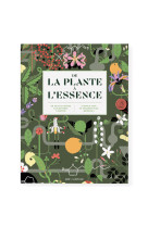 De la plante a l'essence - un tour du monde des matieres a parfum - nouvelle edition augmentee