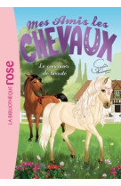 Mes amis les chevaux - sophie thalmann - t10 - mes amis les chevaux 10 - le concours de beaute