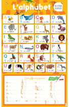 Les posters effacables - l'alphabet