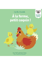 à la ferme, petit coquin !