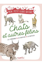 Chats et autres felins