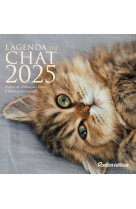 L'agenda du chat 2025