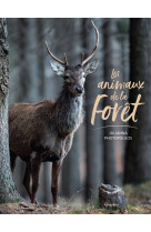 Les animaux de la foret