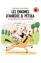 Les énigmes d'amédée et pétula, tome 04